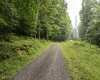 Lot 1 Hanging Run Road, Belington, West Virginia 26250, 0 , 0 ,0,Lots/land,For Sale,Hanging Run,0,10166000