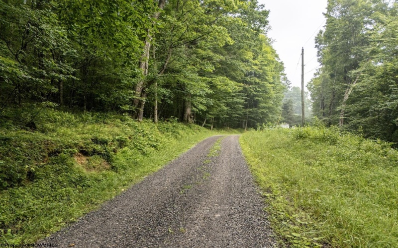 Lot 1 Hanging Run Road, Belington, West Virginia 26250, 0 , 0 ,0,Lots/land,For Sale,Hanging Run,0,10166000