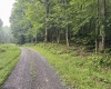 Lot 1 Hanging Run Road, Belington, West Virginia 26250, 0 , 0 ,0,Lots/land,For Sale,Hanging Run,0,10166000