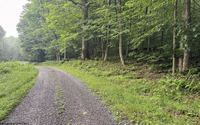 Lot 1 Hanging Run Road, Belington, West Virginia 26250, 0 , 0 ,0,Lots/land,For Sale,Hanging Run,0,10166000