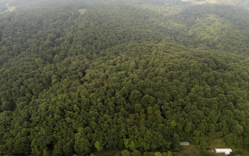 Lot 1 Hanging Run Road, Belington, West Virginia 26250, 0 , 0 ,0,Lots/land,For Sale,Hanging Run,0,10166000