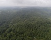 Lot 1 Hanging Run Road, Belington, West Virginia 26250, 0 , 0 ,0,Lots/land,For Sale,Hanging Run,0,10166000