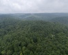 Lot 1 Hanging Run Road, Belington, West Virginia 26250, 0 , 0 ,0,Lots/land,For Sale,Hanging Run,0,10166000
