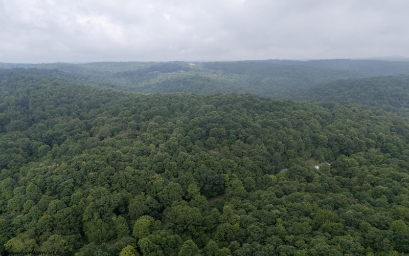 Lot 1 Hanging Run Road, Belington, West Virginia 26250, 0 , 0 ,0,Lots/land,For Sale,Hanging Run,0,10166000