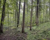Lot 1 Hanging Run Road, Belington, West Virginia 26250, 0 , 0 ,0,Lots/land,For Sale,Hanging Run,0,10166000
