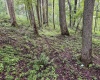Lot 1 Hanging Run Road, Belington, West Virginia 26250, 0 , 0 ,0,Lots/land,For Sale,Hanging Run,0,10166000