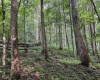 Lot 1 Hanging Run Road, Belington, West Virginia 26250, 0 , 0 ,0,Lots/land,For Sale,Hanging Run,0,10166000