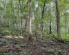 Lot 1 Hanging Run Road, Belington, West Virginia 26250, 0 , 0 ,0,Lots/land,For Sale,Hanging Run,0,10166000
