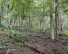 Lot 1 Hanging Run Road, Belington, West Virginia 26250, 0 , 0 ,0,Lots/land,For Sale,Hanging Run,0,10166000