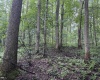 Lot 1 Hanging Run Road, Belington, West Virginia 26250, 0 , 0 ,0,Lots/land,For Sale,Hanging Run,0,10166000