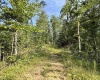 0 Parkersburg Road, Ripley, West Virginia 25271, 0 , 0 ,0,Lots/land,For Sale,Parkersburg,0,10166003