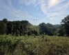 0 Parkersburg Road, Ripley, West Virginia 25271, 0 , 0 ,0,Lots/land,For Sale,Parkersburg,0,10166003