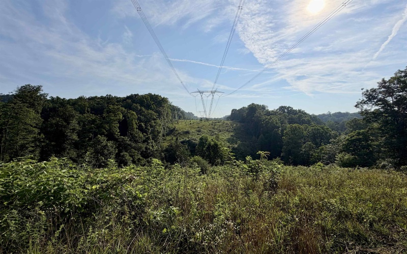 0 Parkersburg Road, Ripley, West Virginia 25271, 0 , 0 ,0,Lots/land,For Sale,Parkersburg,0,10166003