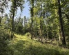 0 Parkersburg Road, Ripley, West Virginia 25271, 0 , 0 ,0,Lots/land,For Sale,Parkersburg,0,10166003
