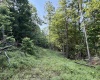 0 Parkersburg Road, Ripley, West Virginia 25271, 0 , 0 ,0,Lots/land,For Sale,Parkersburg,0,10166003