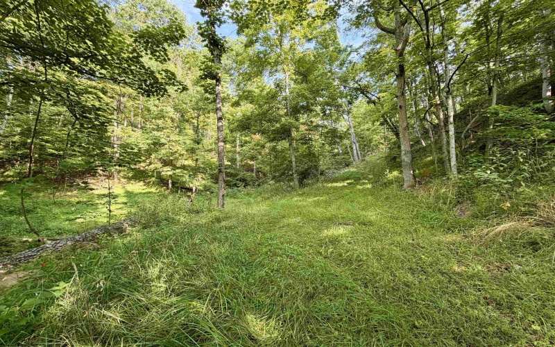 0 Parkersburg Road, Ripley, West Virginia 25271, 0 , 0 ,0,Lots/land,For Sale,Parkersburg,0,10166003
