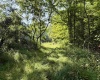 0 Parkersburg Road, Ripley, West Virginia 25271, 0 , 0 ,0,Lots/land,For Sale,Parkersburg,0,10166003