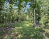 0 Parkersburg Road, Ripley, West Virginia 25271, 0 , 0 ,0,Lots/land,For Sale,Parkersburg,0,10166003