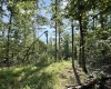 0 Parkersburg Road, Ripley, West Virginia 25271, 0 , 0 ,0,Lots/land,For Sale,Parkersburg,0,10166003