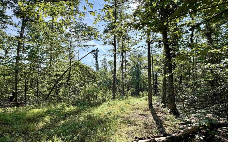 0 Parkersburg Road, Ripley, West Virginia 25271, 0 , 0 ,0,Lots/land,For Sale,Parkersburg,0,10166003