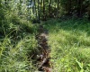 0 Parkersburg Road, Ripley, West Virginia 25271, 0 , 0 ,0,Lots/land,For Sale,Parkersburg,0,10166003