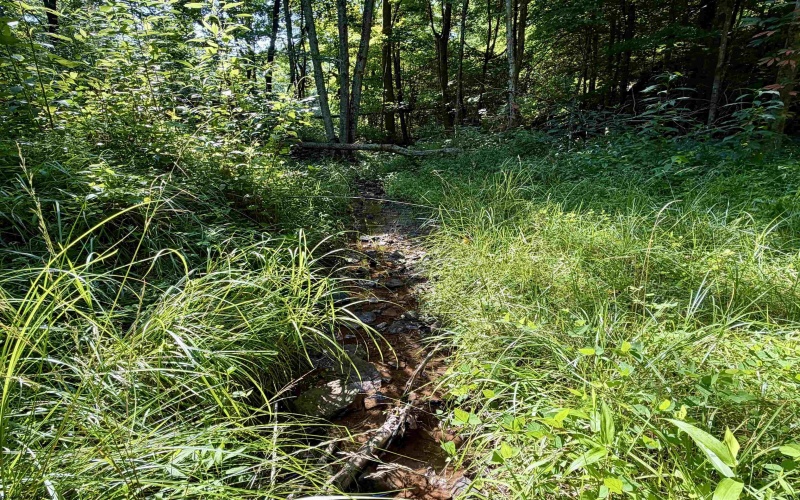 0 Parkersburg Road, Ripley, West Virginia 25271, 0 , 0 ,0,Lots/land,For Sale,Parkersburg,0,10166003