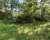 0 Parkersburg Road, Ripley, West Virginia 25271, 0 , 0 ,0,Lots/land,For Sale,Parkersburg,0,10166003