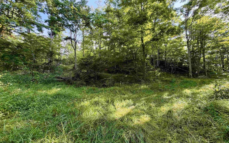 0 Parkersburg Road, Ripley, West Virginia 25271, 0 , 0 ,0,Lots/land,For Sale,Parkersburg,0,10166003