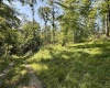 0 Parkersburg Road, Ripley, West Virginia 25271, 0 , 0 ,0,Lots/land,For Sale,Parkersburg,0,10166003