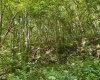 0 Parkersburg Road, Ripley, West Virginia 25271, 0 , 0 ,0,Lots/land,For Sale,Parkersburg,0,10166003