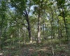 0 Parkersburg Road, Ripley, West Virginia 25271, 0 , 0 ,0,Lots/land,For Sale,Parkersburg,0,10166003