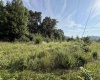 0 Parkersburg Road, Ripley, West Virginia 25271, 0 , 0 ,0,Lots/land,For Sale,Parkersburg,0,10166003