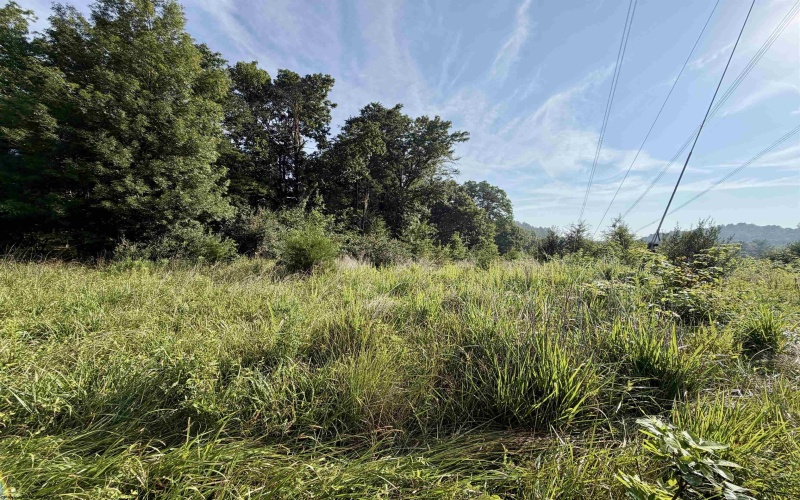 0 Parkersburg Road, Ripley, West Virginia 25271, 0 , 0 ,0,Lots/land,For Sale,Parkersburg,0,10166003