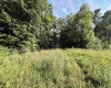 0 Parkersburg Road, Ripley, West Virginia 25271, 0 , 0 ,0,Lots/land,For Sale,Parkersburg,0,10166003