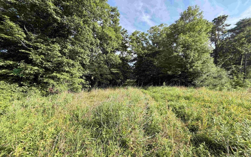 0 Parkersburg Road, Ripley, West Virginia 25271, 0 , 0 ,0,Lots/land,For Sale,Parkersburg,0,10166003