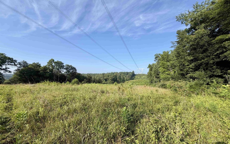 0 Parkersburg Road, Ripley, West Virginia 25271, 0 , 0 ,0,Lots/land,For Sale,Parkersburg,0,10166003