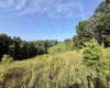0 Parkersburg Road, Ripley, West Virginia 25271, 0 , 0 ,0,Lots/land,For Sale,Parkersburg,0,10166003
