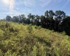 0 Parkersburg Road, Ripley, West Virginia 25271, 0 , 0 ,0,Lots/land,For Sale,Parkersburg,0,10166003