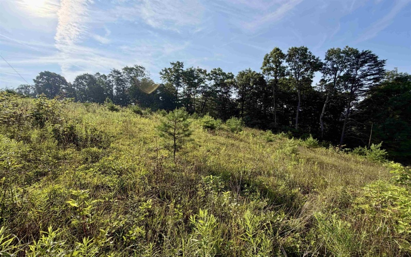 0 Parkersburg Road, Ripley, West Virginia 25271, 0 , 0 ,0,Lots/land,For Sale,Parkersburg,0,10166003