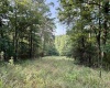 0 Parkersburg Road, Ripley, West Virginia 25271, 0 , 0 ,0,Lots/land,For Sale,Parkersburg,0,10166003