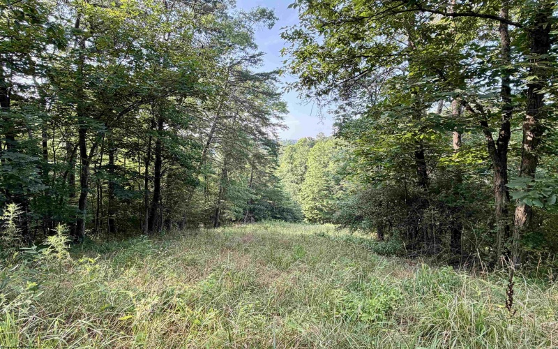 0 Parkersburg Road, Ripley, West Virginia 25271, 0 , 0 ,0,Lots/land,For Sale,Parkersburg,0,10166003