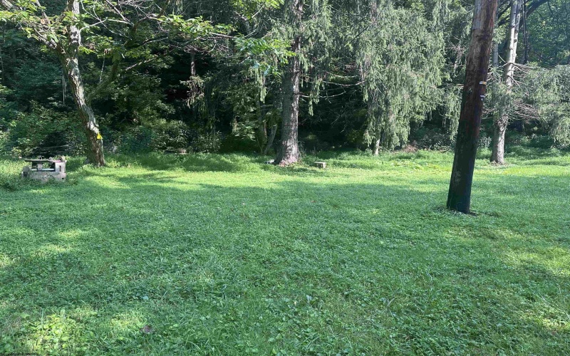 165 Main Street, Rivesville, West Virginia 26588, 0 , 0 ,0,Lots/land,For Sale,Main,0,10166028