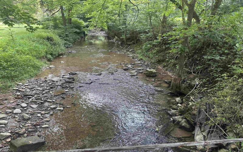 165 Main Street, Rivesville, West Virginia 26588, 0 , 0 ,0,Lots/land,For Sale,Main,0,10166028