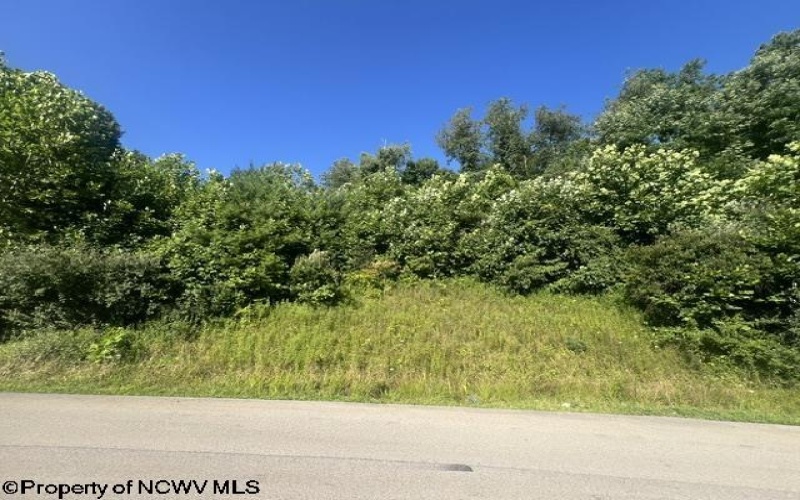 Lot 3 & 4 David Daniels Drive, Fairmont, West Virginia 26554, 0 , 0 ,0,Lots/land,For Sale,David Daniels,0,10166033