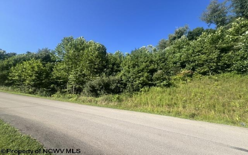 Lot 3 & 4 David Daniels Drive, Fairmont, West Virginia 26554, 0 , 0 ,0,Lots/land,For Sale,David Daniels,0,10166033
