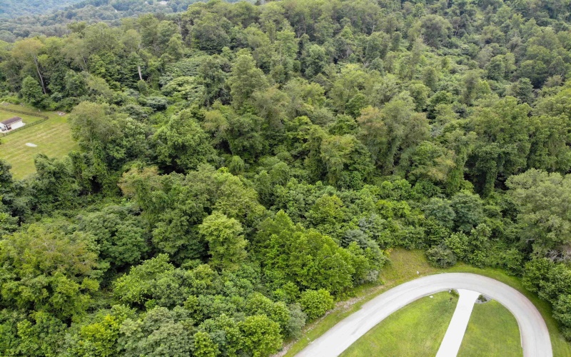 Lot 3 & 4 David Daniels Drive, Fairmont, West Virginia 26554, 0 , 0 ,0,Lots/land,For Sale,David Daniels,0,10166033