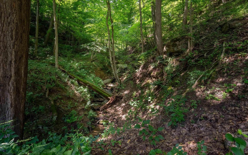 109 Dug Hill Road, Morgantown, West Virginia 26508, 0 , 0 ,0,Lots/land,For Sale,Dug Hill,0,10166053