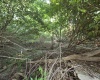 TBD Bartlow Street, Morgantown, West Virginia 26505, 0 , 0 ,0,Lots/land,For Sale,Bartlow,0,10165887
