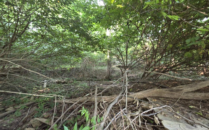 TBD Bartlow Street, Morgantown, West Virginia 26505, 0 , 0 ,0,Lots/land,For Sale,Bartlow,0,10165887