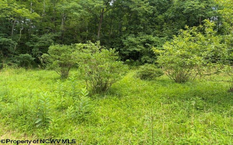 59 Adobe Drive, Belington, West Virginia 26250, 3 Bedrooms Bedrooms, 5 Rooms Rooms,1 BathroomBathrooms,Single Family Detached,For Sale,Adobe,0,10166071